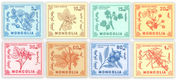 Монголын ойн зэрлэг жимс 68