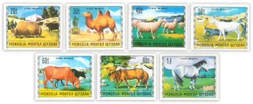Livestock husbandry /7/