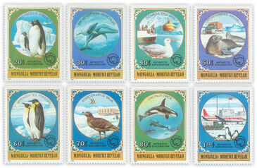 Antarctic study, s/s