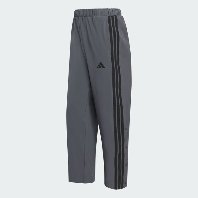 M 3S WV SNP TP GRESIX