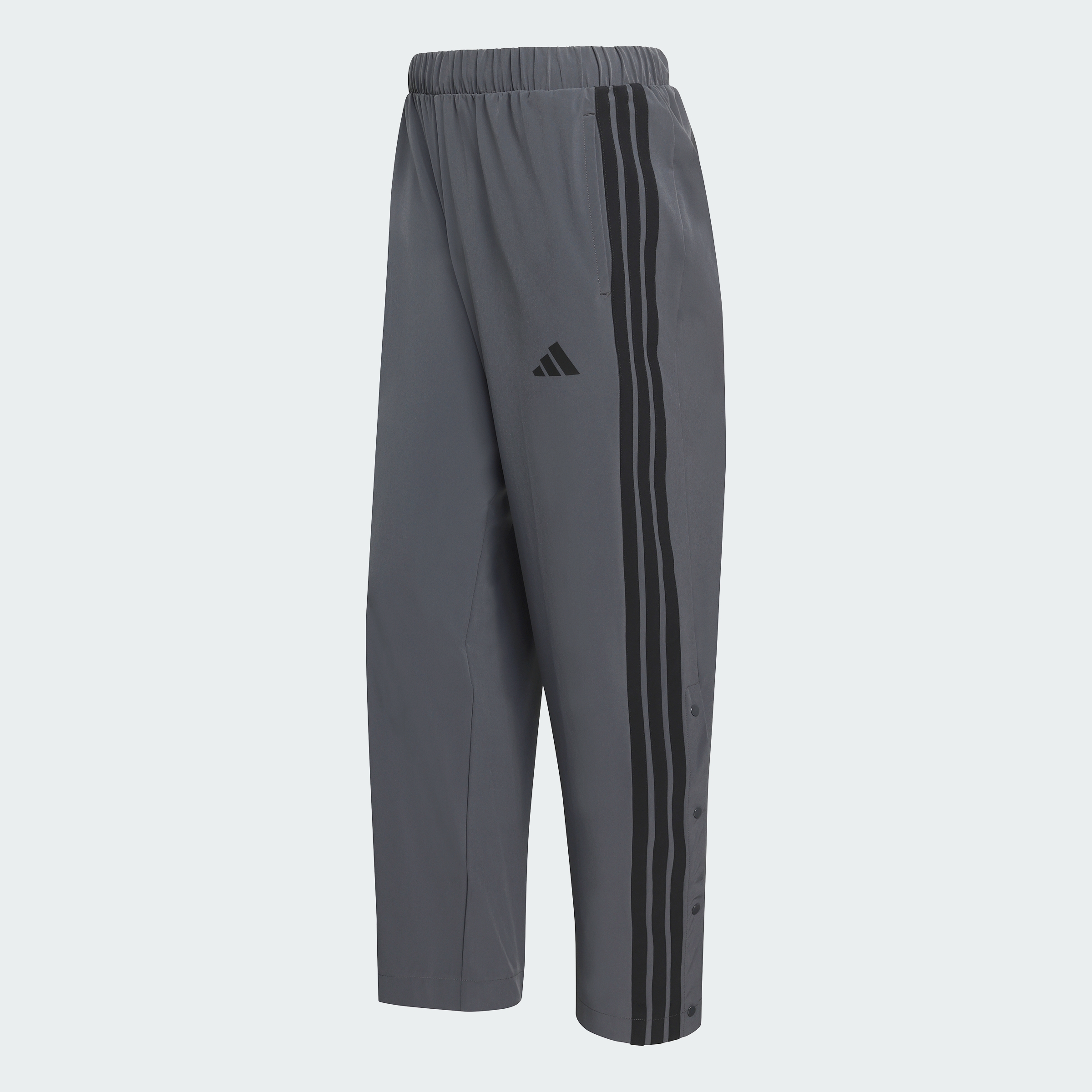 M 3S WV SNP TP GRESIX