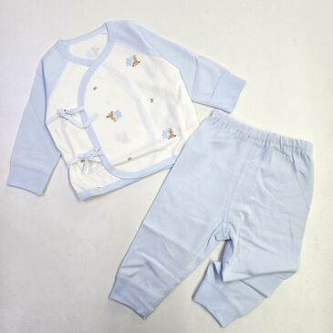 Уяатай 2 хос цэнхэр баавгай