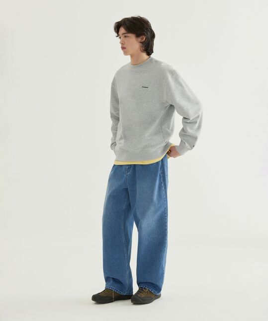 Small Logo Header Gray