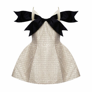 AMELISSE MINI DRESS /limited edition/