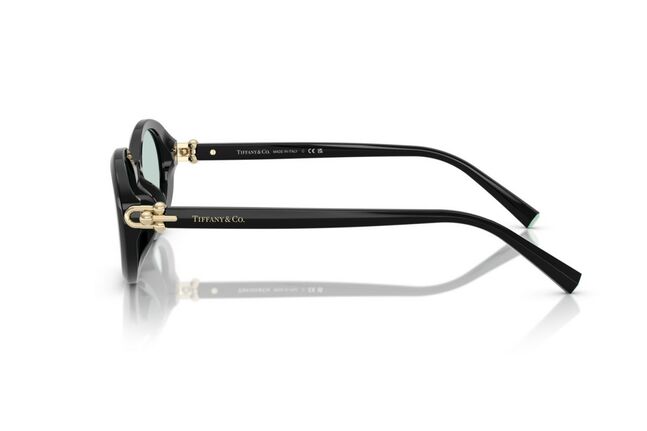 Tiffany & Co., ACETATE WOMAN SUNGLASS