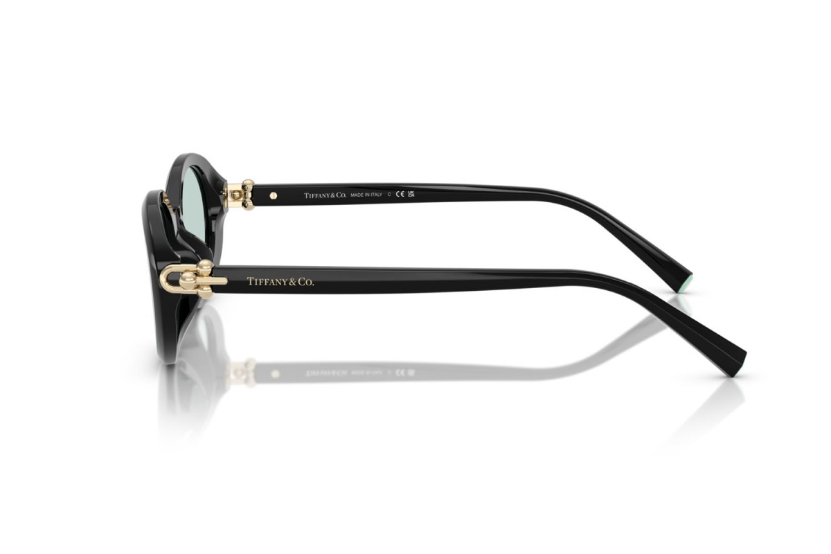 Tiffany & Co., ACETATE WOMAN SUNGLASS