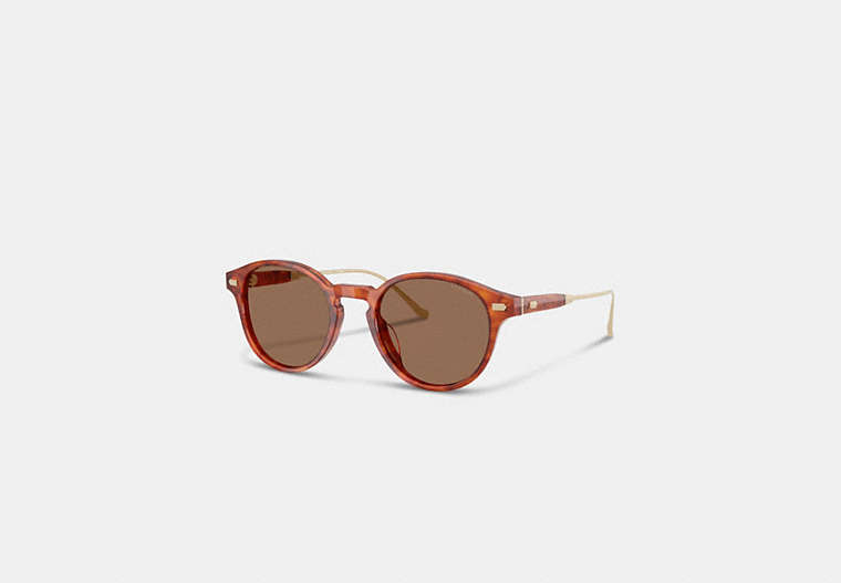 Coach, ACETATE MAN SUNGLASS
