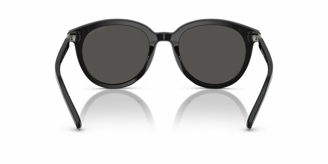 Michael Kors, ACETATE MAN SUNGLASS