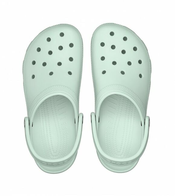 Classic MtT Mint Tint