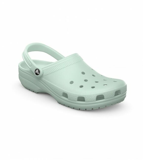 Classic MtT Mint Tint