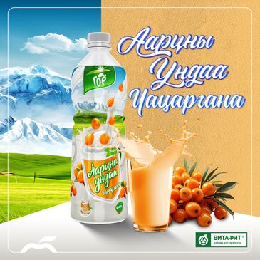 Гоё чацарганатай аарц 480мл №1