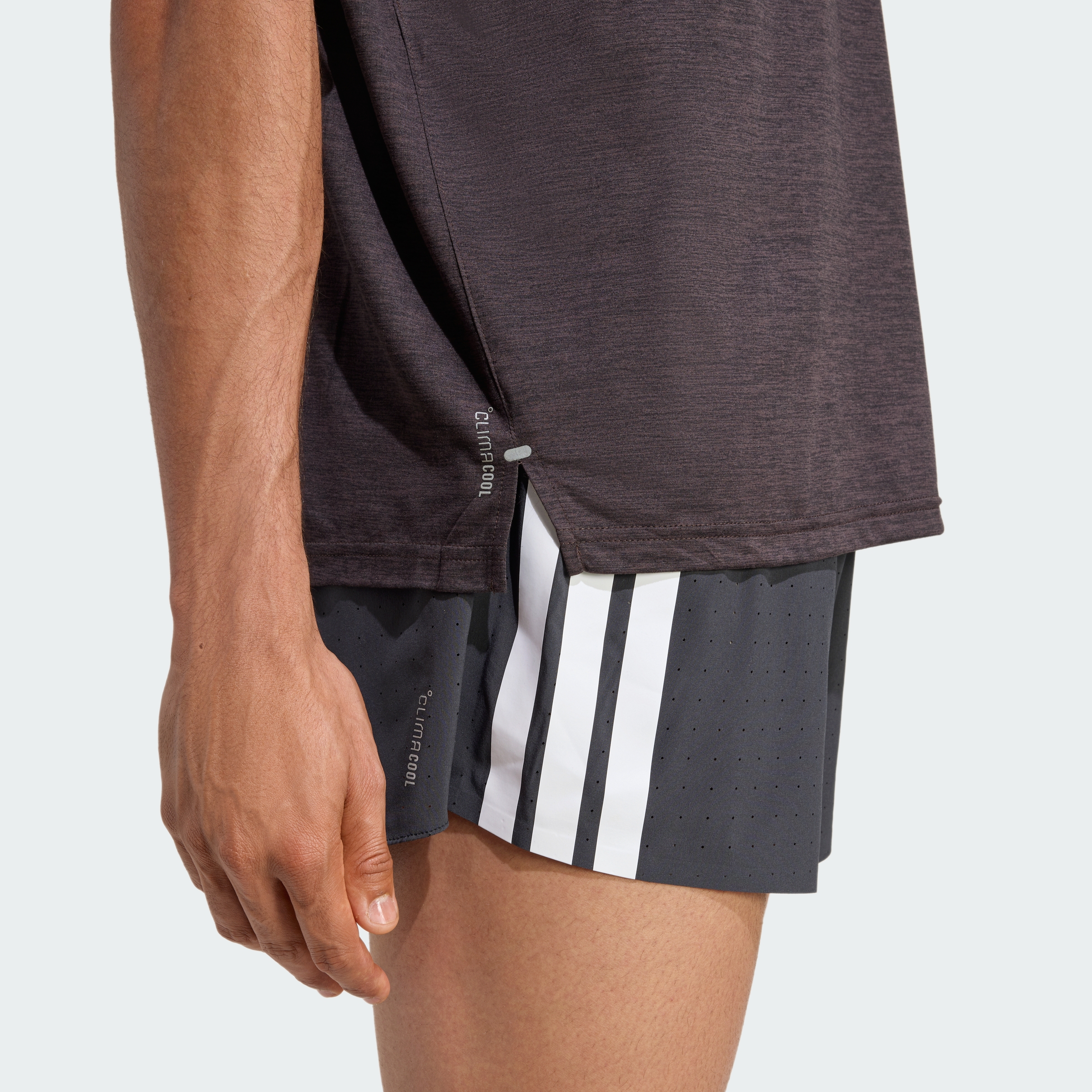 adi365 AP TEE M AUCO
