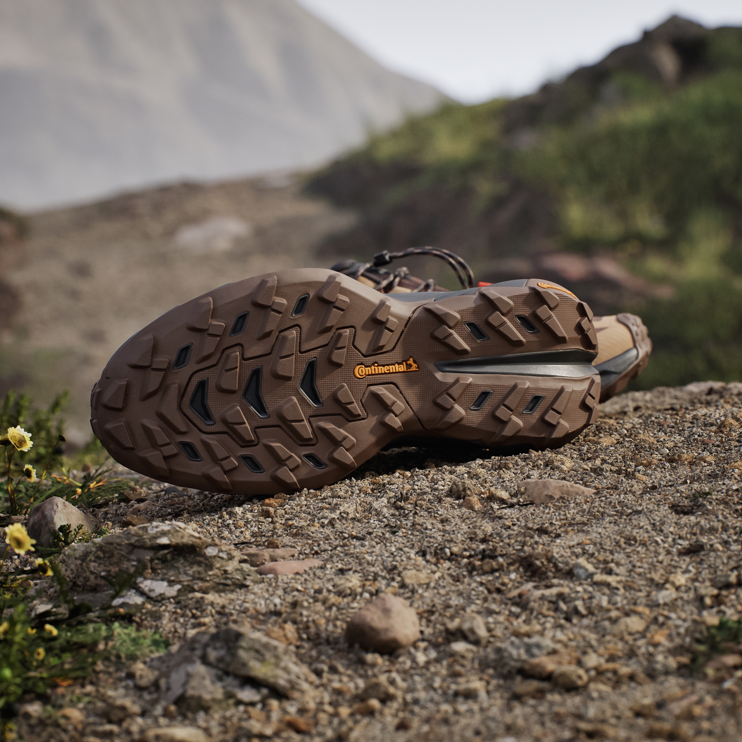 TERREX FREEHIKER SL EARSTR/WONALU/PURTEA
