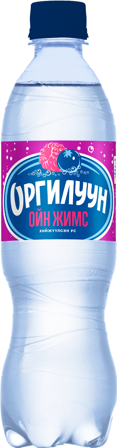 Orgiluun 0.5 L  PET /forestberry/