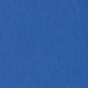 LPM Biella blue нүүр хавтан