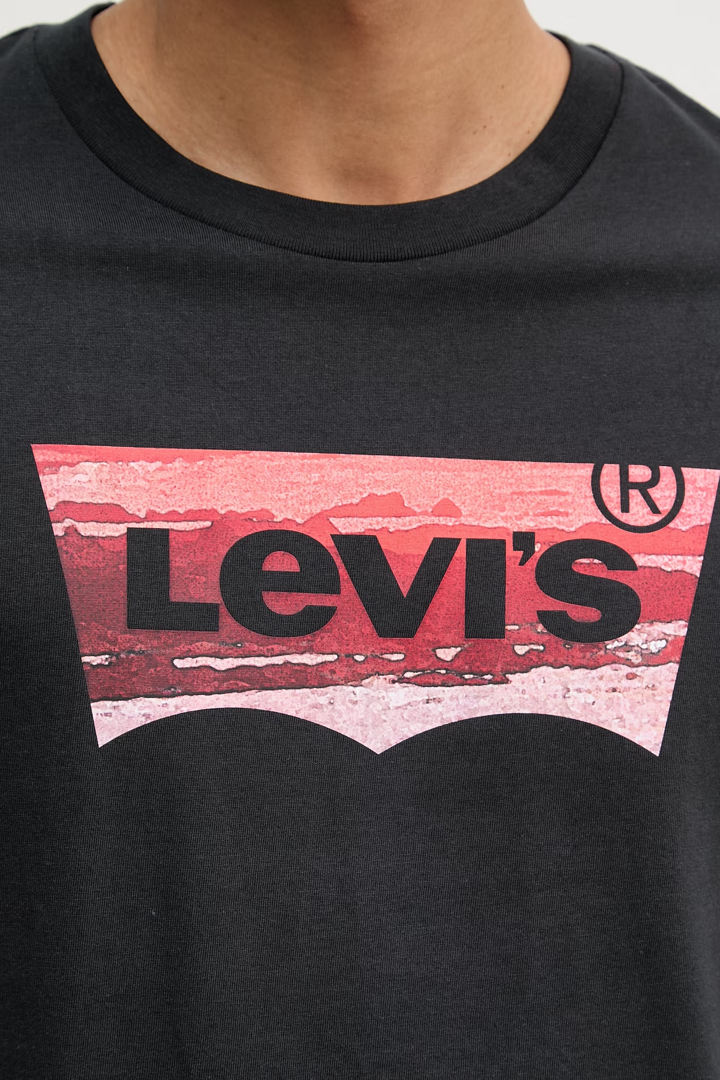 GRAPHIC CREWNECK TEE COASTAL FILLED BW