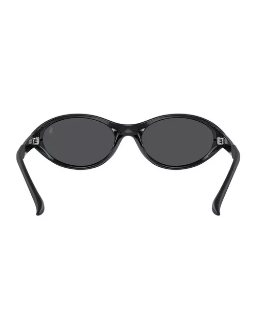 Polo Ralph Lauren, INJECTED MAN SUNGLASS