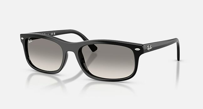 Ray-Ban, ACETATE UNISEX SUNGLASS