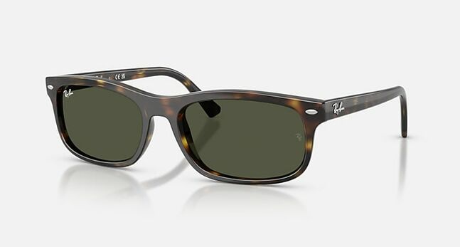 Ray-Ban, ACETATE UNISEX SUNGLASS