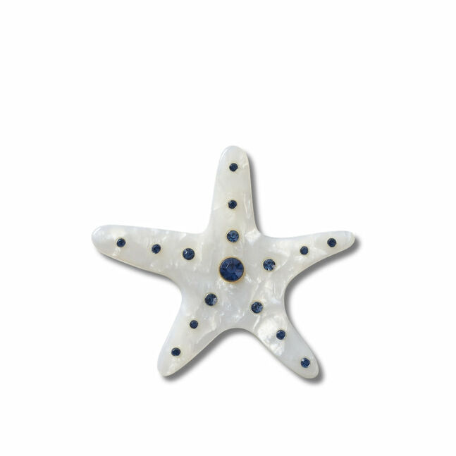 Silver Starfish