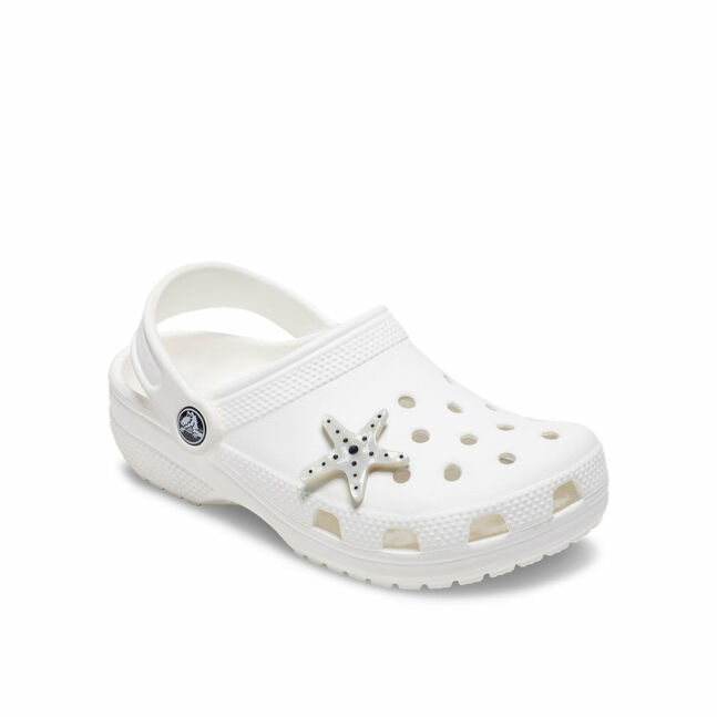 Silver Starfish