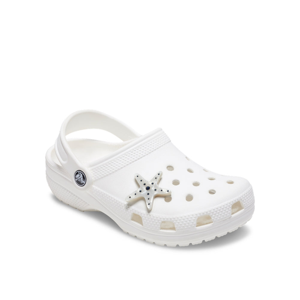 Silver Starfish