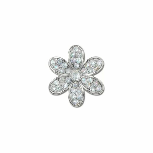 Silver Mnchrm Daisy 1