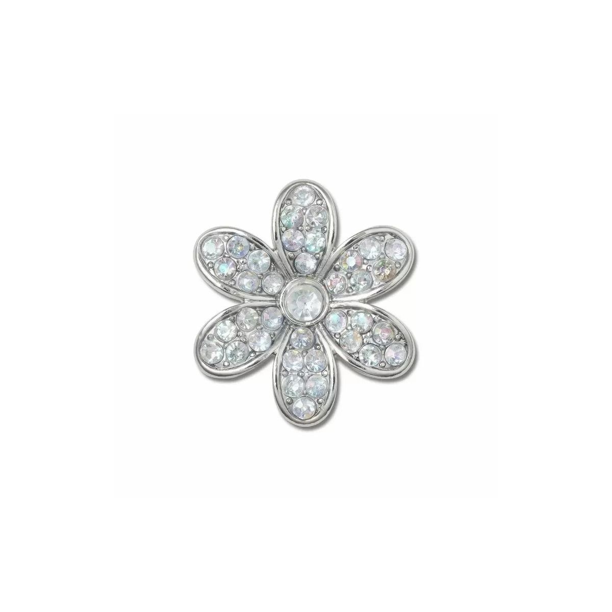 Silver Mnchrm Daisy 1