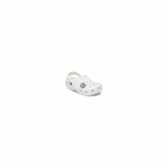 Silver Mnchrm Daisy 1
