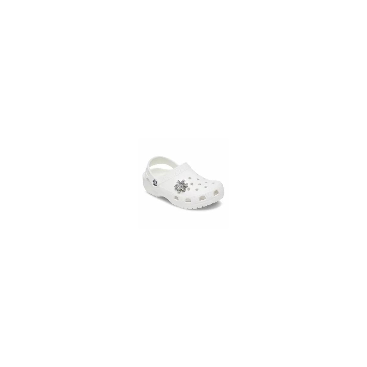 Silver Mnchrm Daisy 1