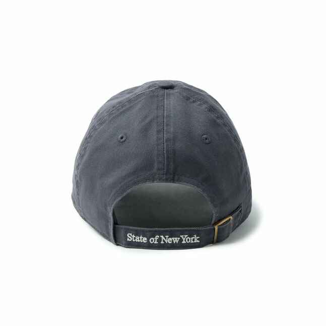 CC STRAP LOGO GRA 261 INTL