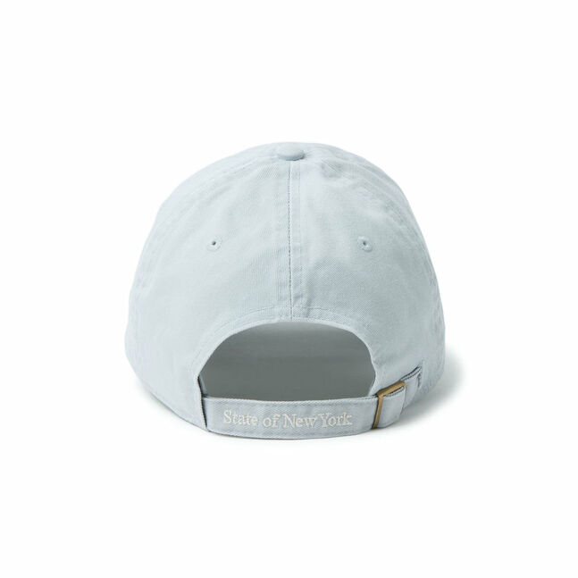 CC STRAP LOGO SGRY 261 INTL
