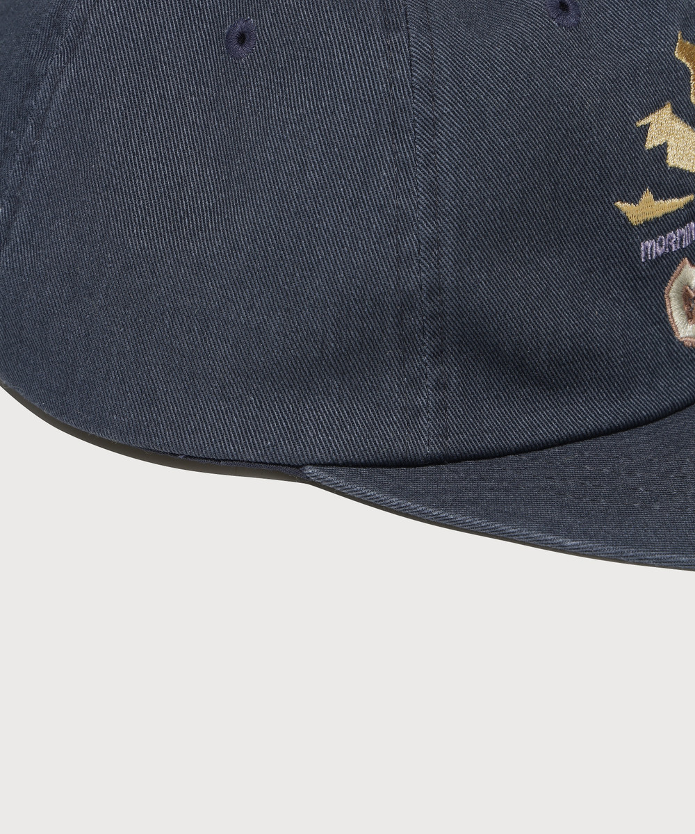 ARTWORK GRAPHIC 6-PANEL CAP
