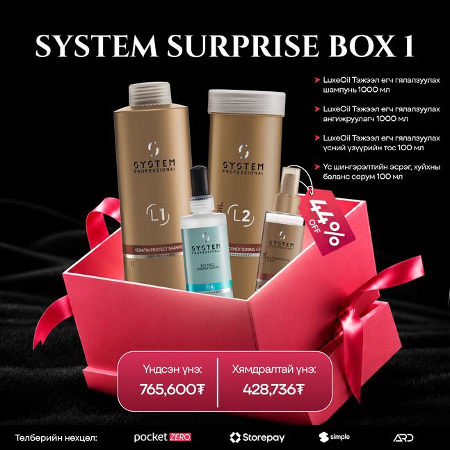 SYSTEM SURPRISE BOX 1 