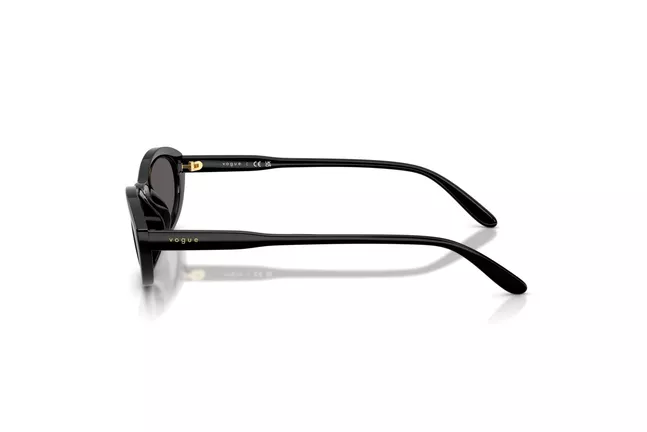 Vogue Eyewear, INJECTED WOMAN SUNGLASS