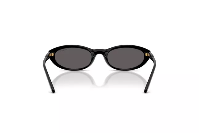 Vogue Eyewear, INJECTED WOMAN SUNGLASS