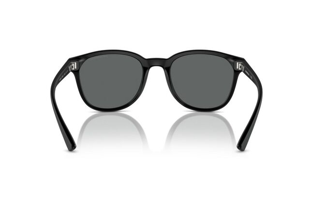 Emporio Armani, INJECTED MAN SUNGLASS