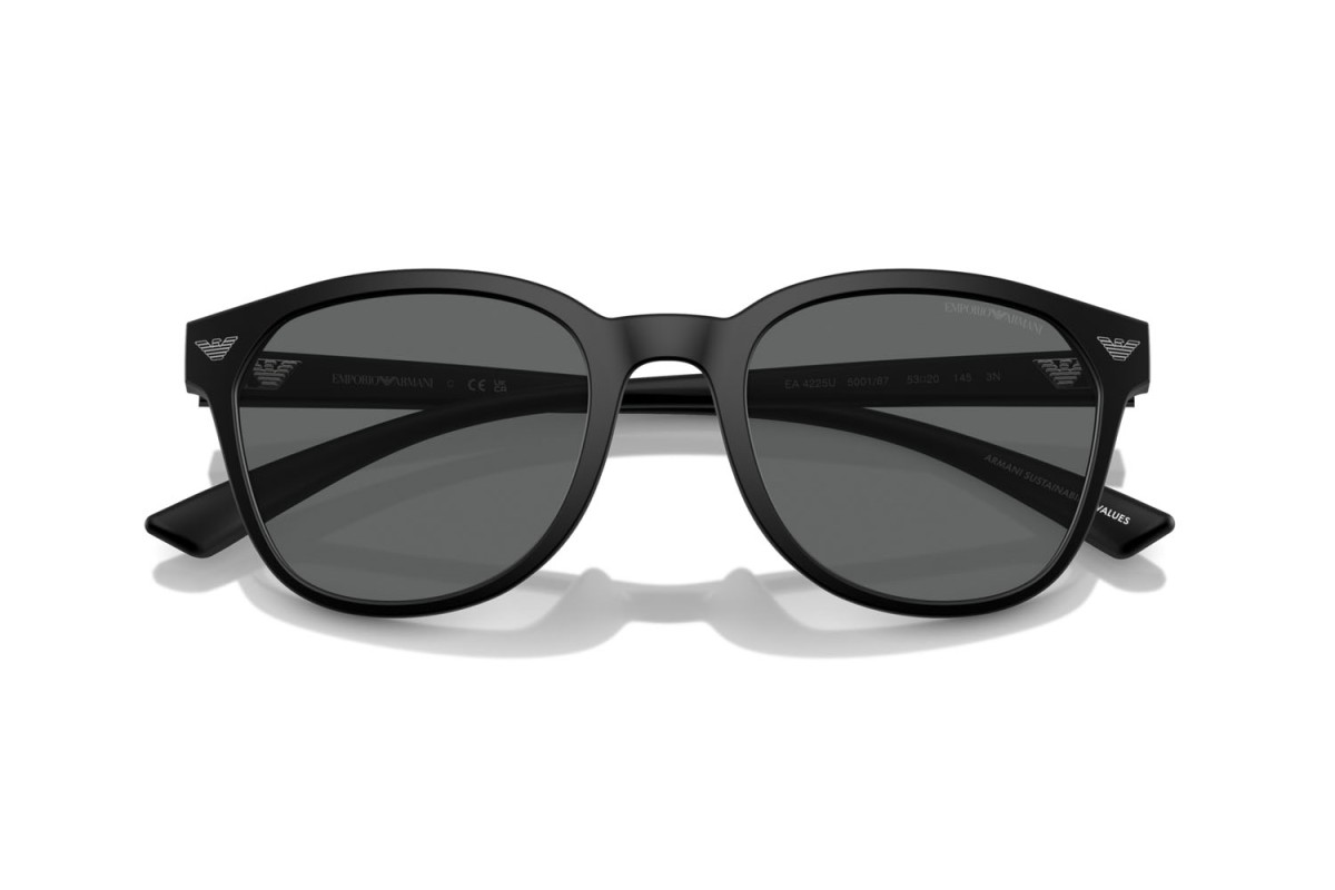 Emporio Armani, INJECTED MAN SUNGLASS
