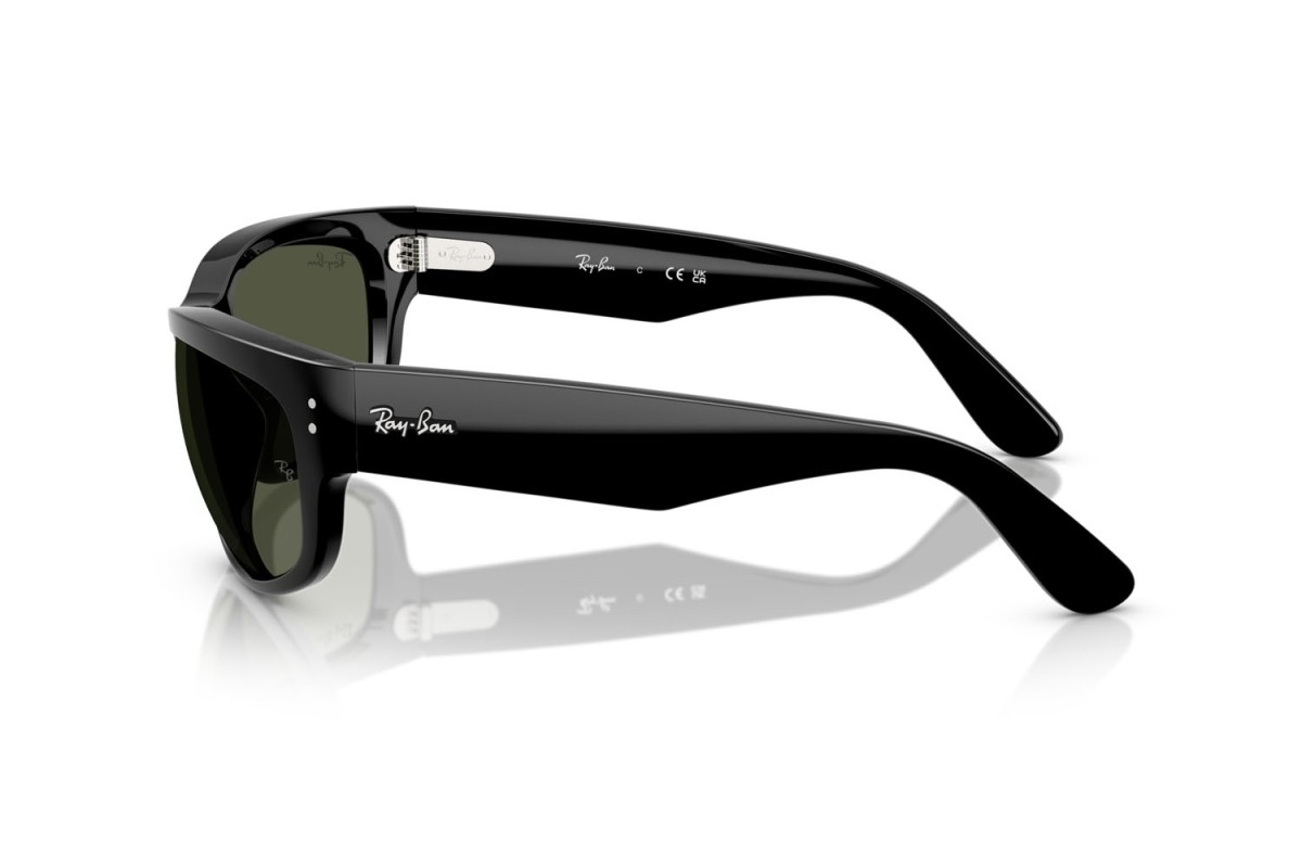 Ray-Ban, PROPIONATE UNISEX SUNGLASS