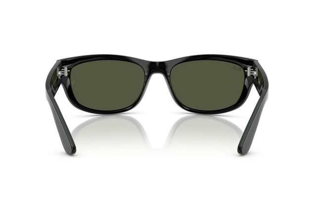 Ray-Ban, PROPIONATE UNISEX SUNGLASS