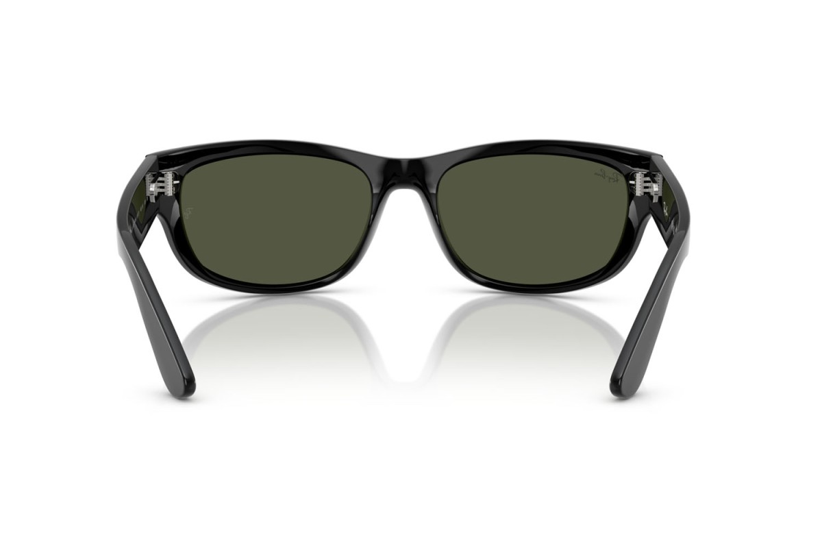 Ray-Ban, PROPIONATE UNISEX SUNGLASS