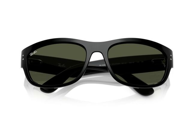 Ray-Ban, PROPIONATE UNISEX SUNGLASS