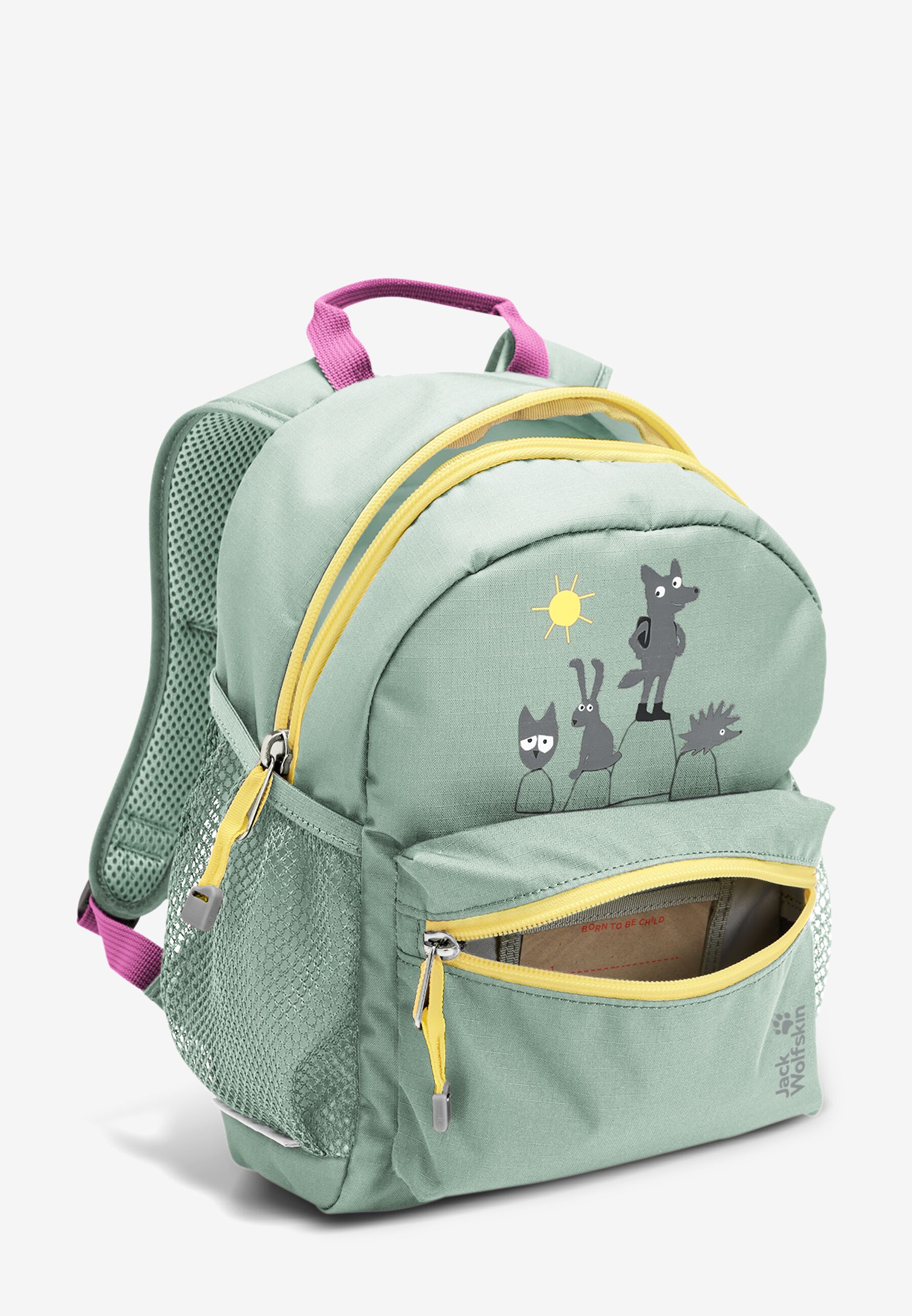 LITTLE SCOUT 10