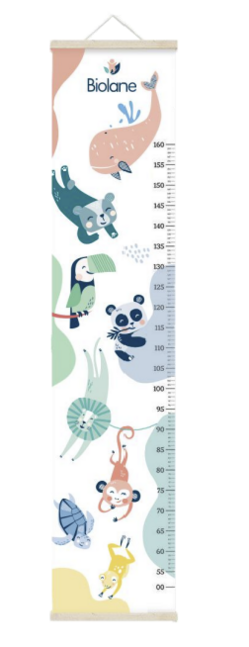 BIOLANE MEASURING ROD