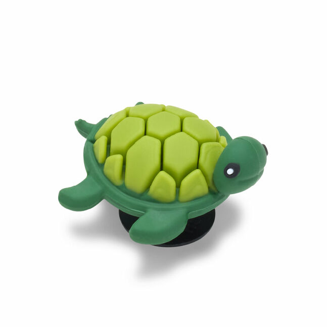 3D UV Changing Turtle