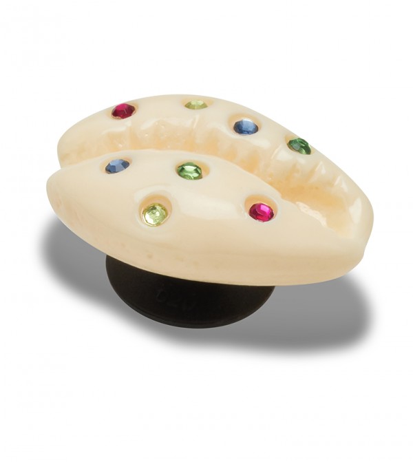 Gem Puka Shell