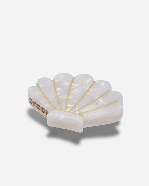 White and Gold Seashell