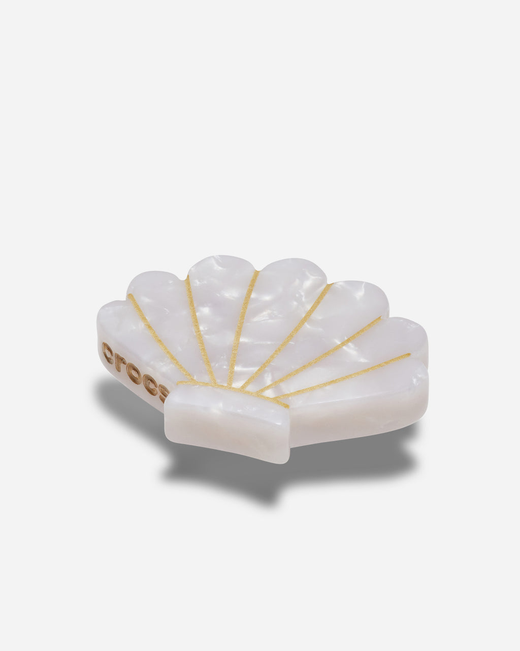 White and Gold Seashell