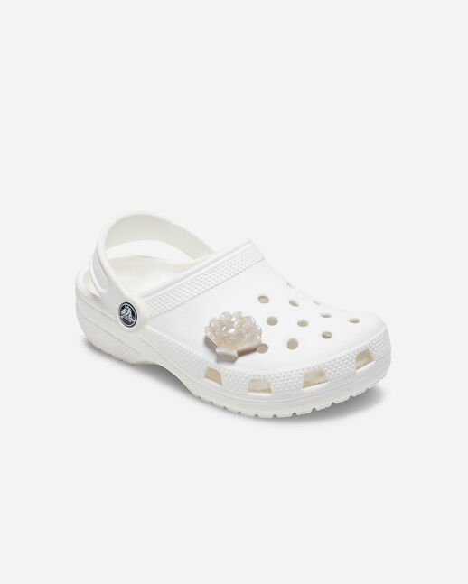White and Gold Seashell