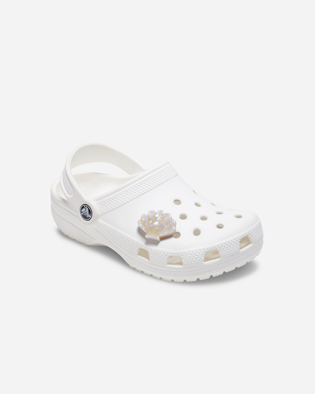 White and Gold Seashell